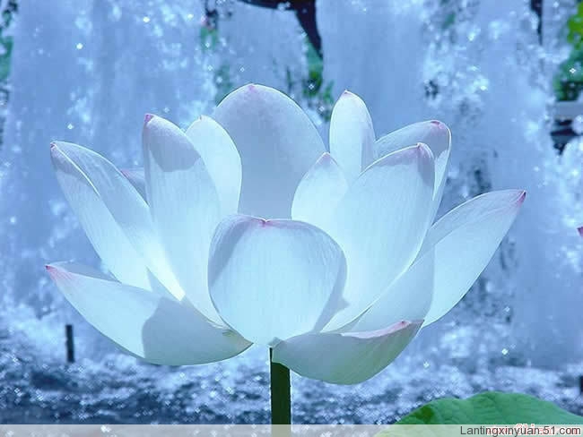 素衣輕拂圓球手持细雨斜风晚更多打一准确生肖,警惕虚假宣传落实,构建解答解释落实