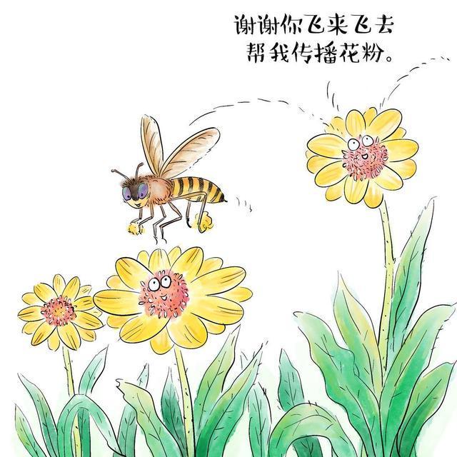 十八姑娘一朵花五颜六色景如画是什么生肖请全面释义、解释与落实、综合解答解释落实