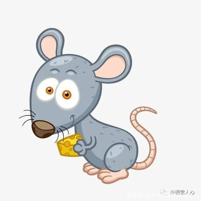 贼眉鼠眼打一正确生肖请全面2释义、解释与落实、详细解答解释落实