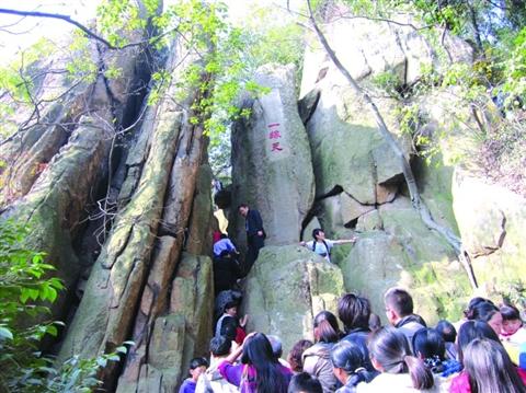 天平山上白云泉一四五码双头发是什么生肖仔细释义、解释与落实、实证解答解释落实