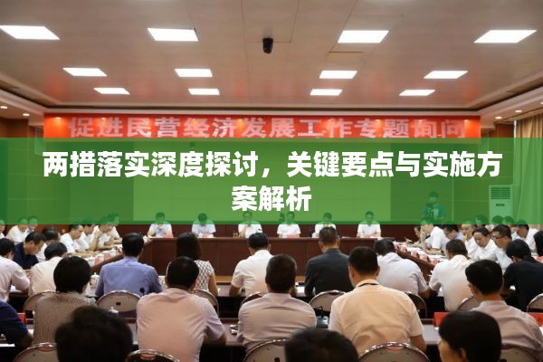 一年运程八九好，二八三七搏一期打一个正确生肖仔细释义、解释与落实、专家解答解释落实