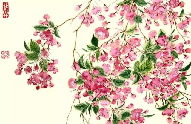 十八姑娘一朵花五颜六色景如画是什么生肖请全面释义、解释与落实、综合解答解释落实